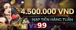 vz99